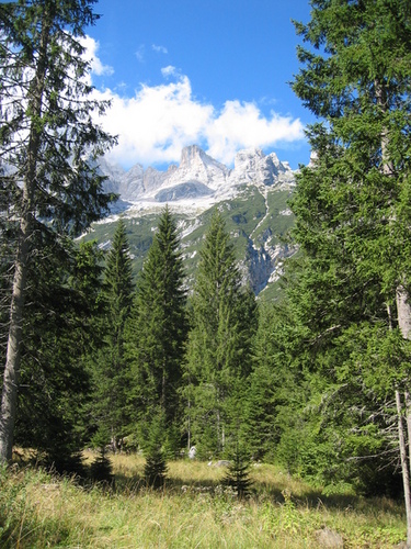 IMG_0625
