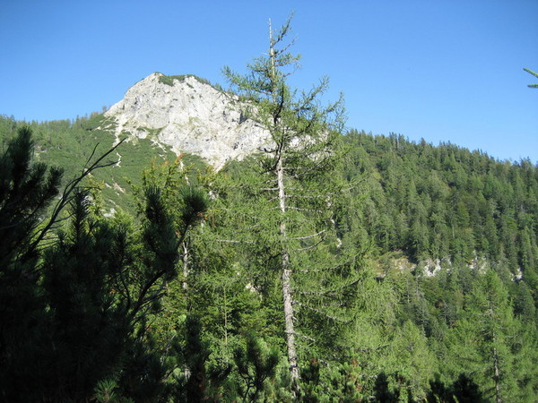 p014