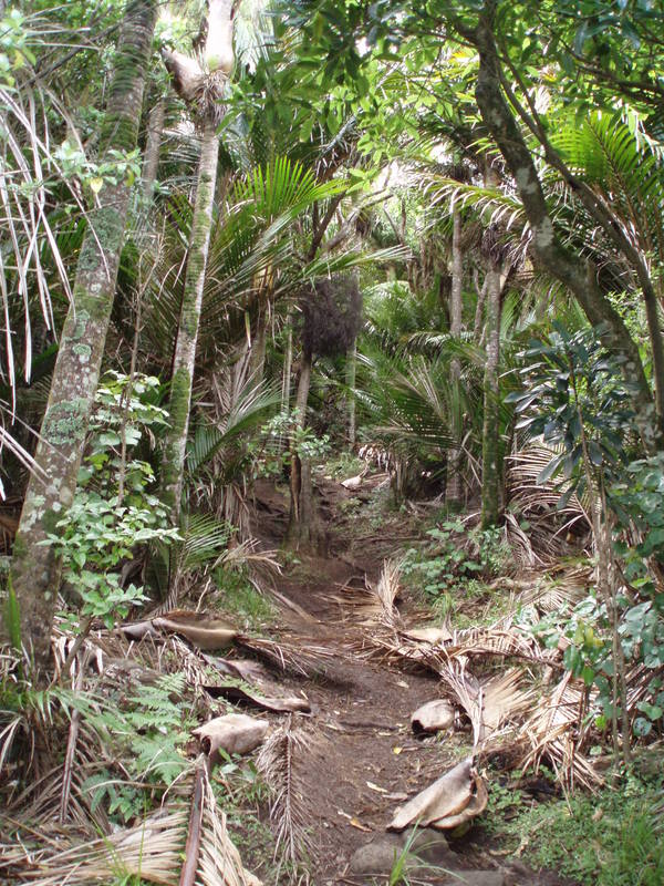 p018